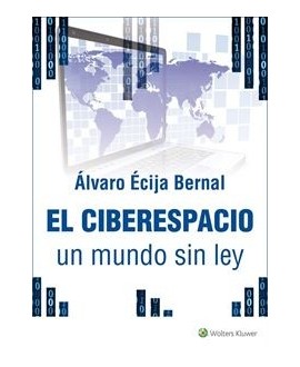 El ciberespacio, un mundo sin Ley