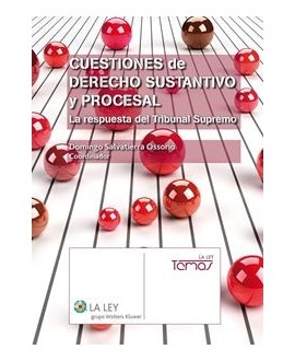 Cuestiones de derecho sustantivo y procesal