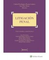 Litigación penal