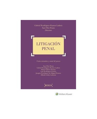 Litigación penal