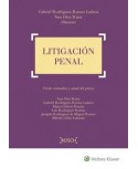 Litigación penal