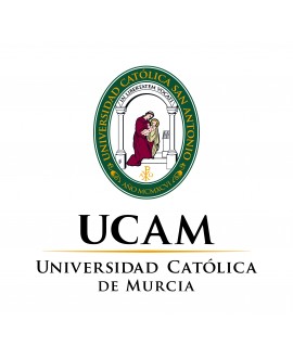 Grado en derecho (Universidad Católica de Murcia)