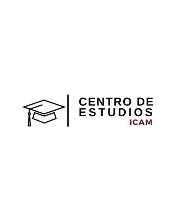 Máster en Derecho de los Negocios Internacionales (ICAM)