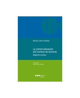 La comercialización del nombre de dominio Régimen jurídico